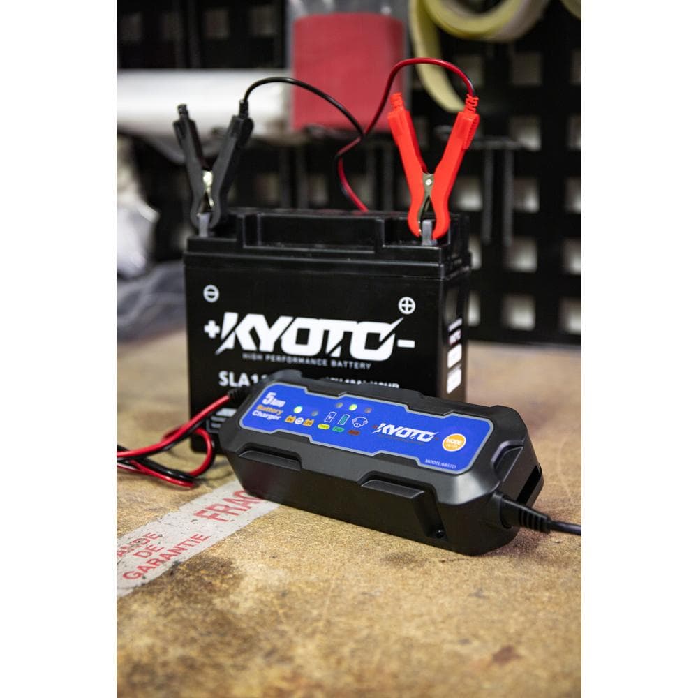 Chargeur Batterie Moto & Scoot vue 4